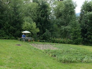 Hotel Pensiunea Flori De Camp cazare Vatra Dornei