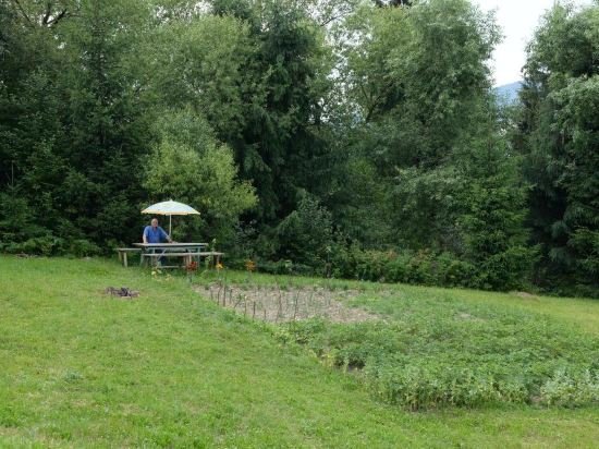 Pensiunea Flori De Camp