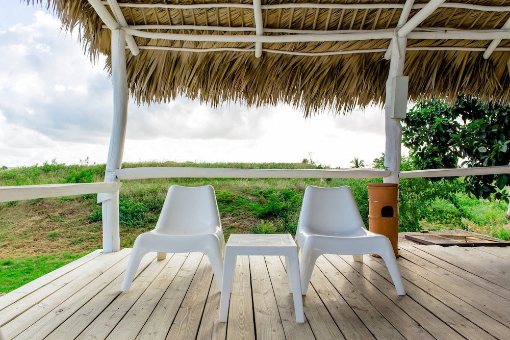 Hotel Palm Green Vacations Whitesands