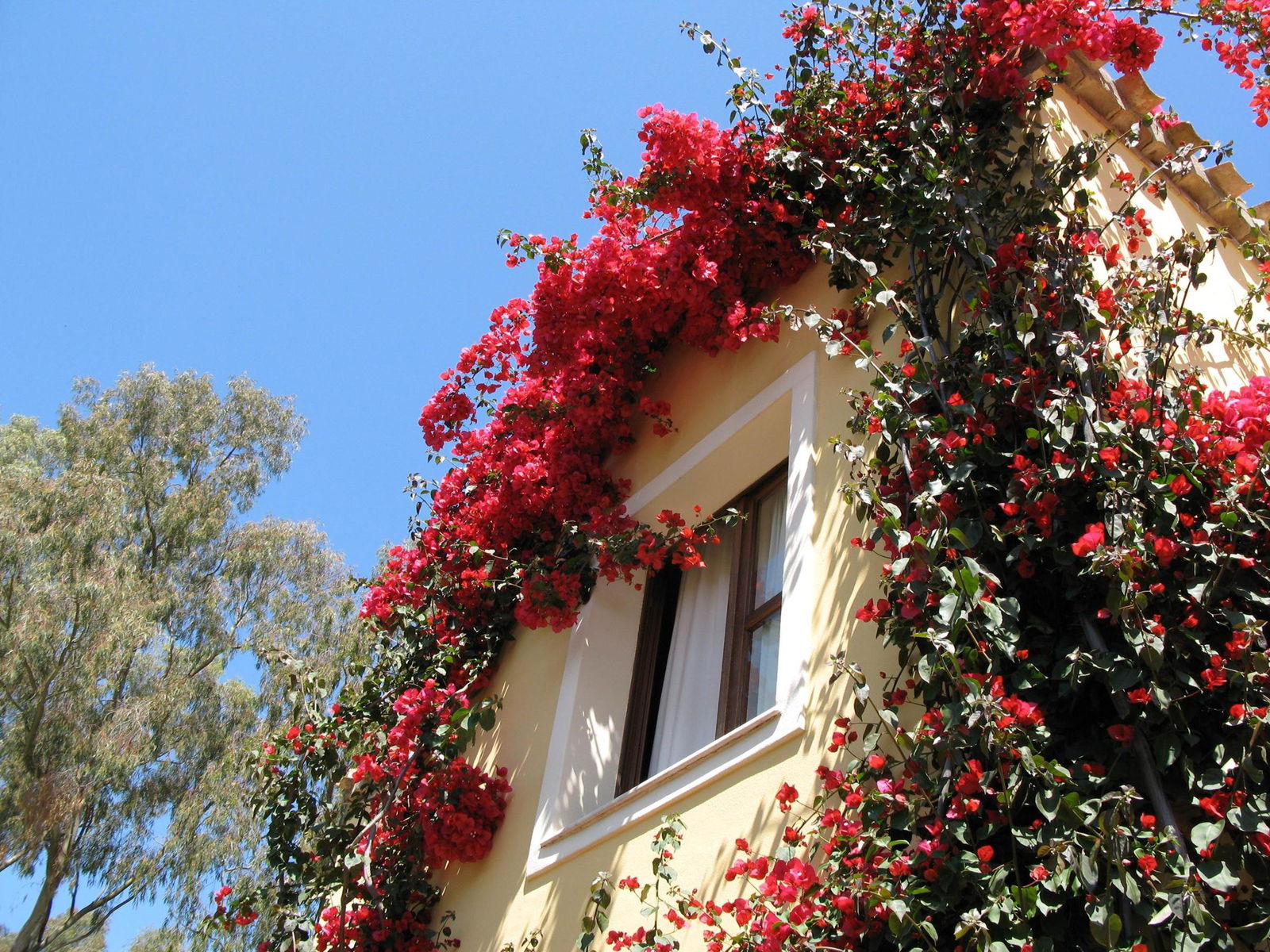 Hotel Residence Borgo Degli Ulivi