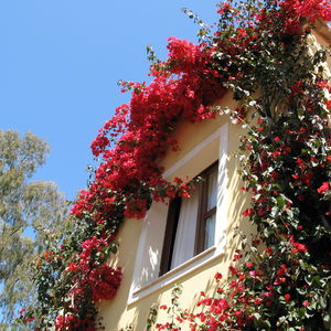 Hotel Residence Borgo Degli Ulivi cazare Arbatax