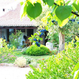 Hotel Club Hotel Ragno D'oro cazare Aglientu