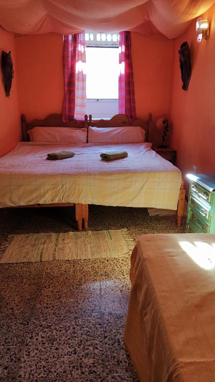 Hostel Tenerife