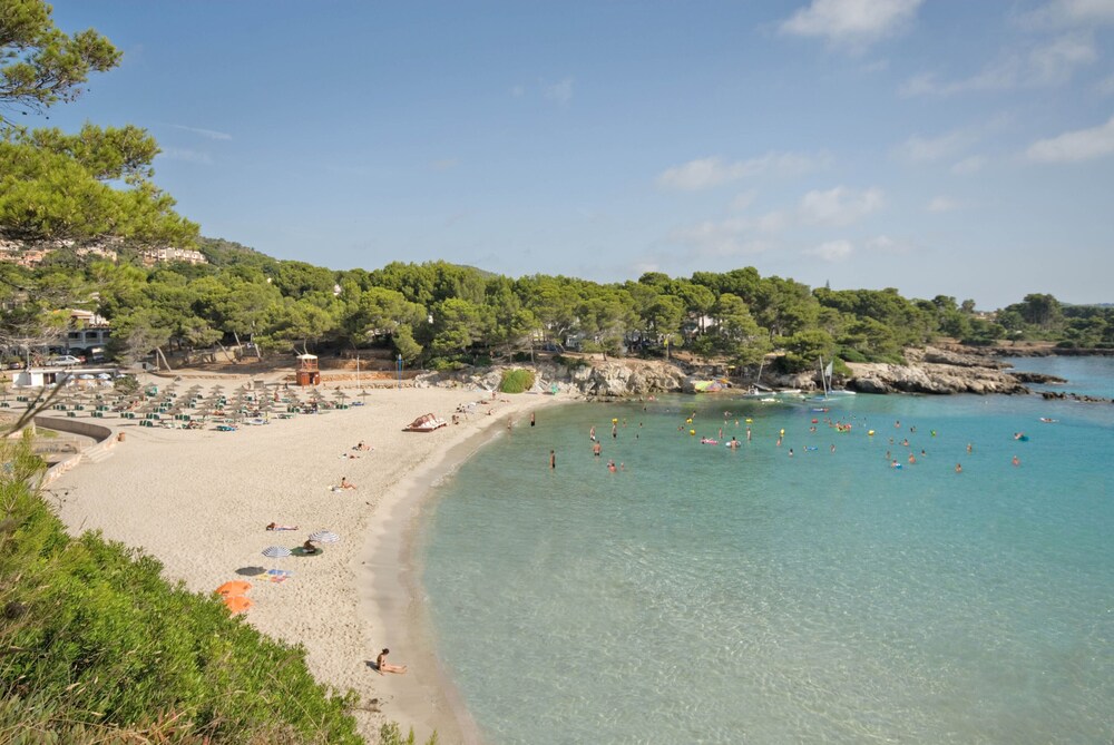 dal travel Beach Club Font De Sa Cala