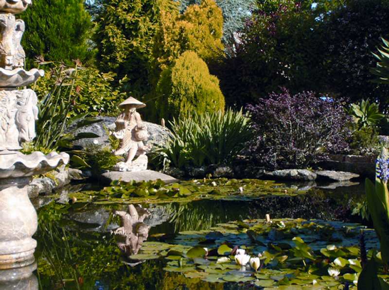 Hotel Hotel Bosque Mar