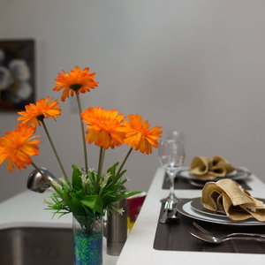Hotel New Kingston Premium Guest Apartment cazare New Kingston