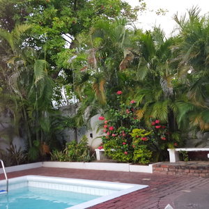 Hotel Private Cosy Central cazare New Kingston