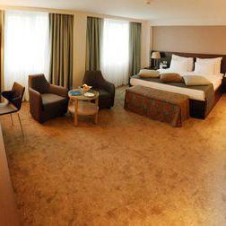 Sejur Dedeman Istanbul Hotel vacanta Istanbul