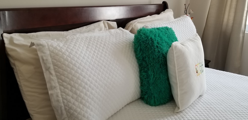 New Kingston Guest Apt At Kingsway