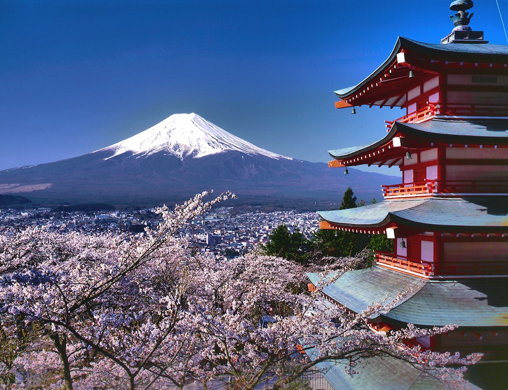 Hotel Hotel Mystays Fuji Onsen Resort