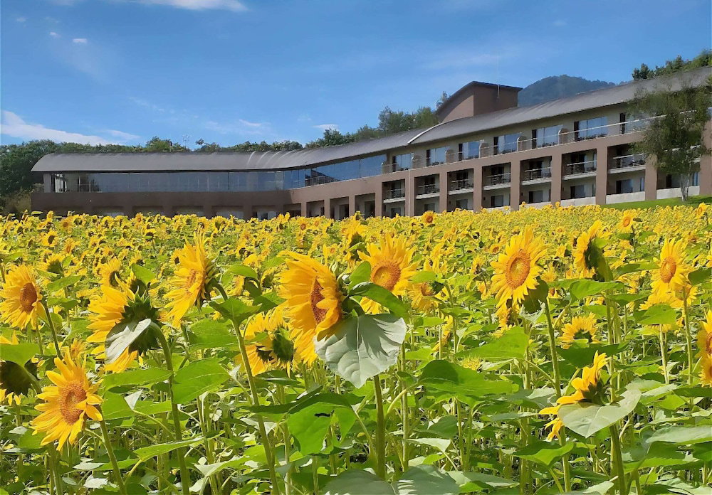Hotel Furano Hotel