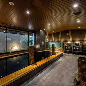 Hotel Onyado Nono Asakusa Natural Hot Springs cazare Ichikawa-minami