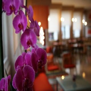 Park Hotel Meuble