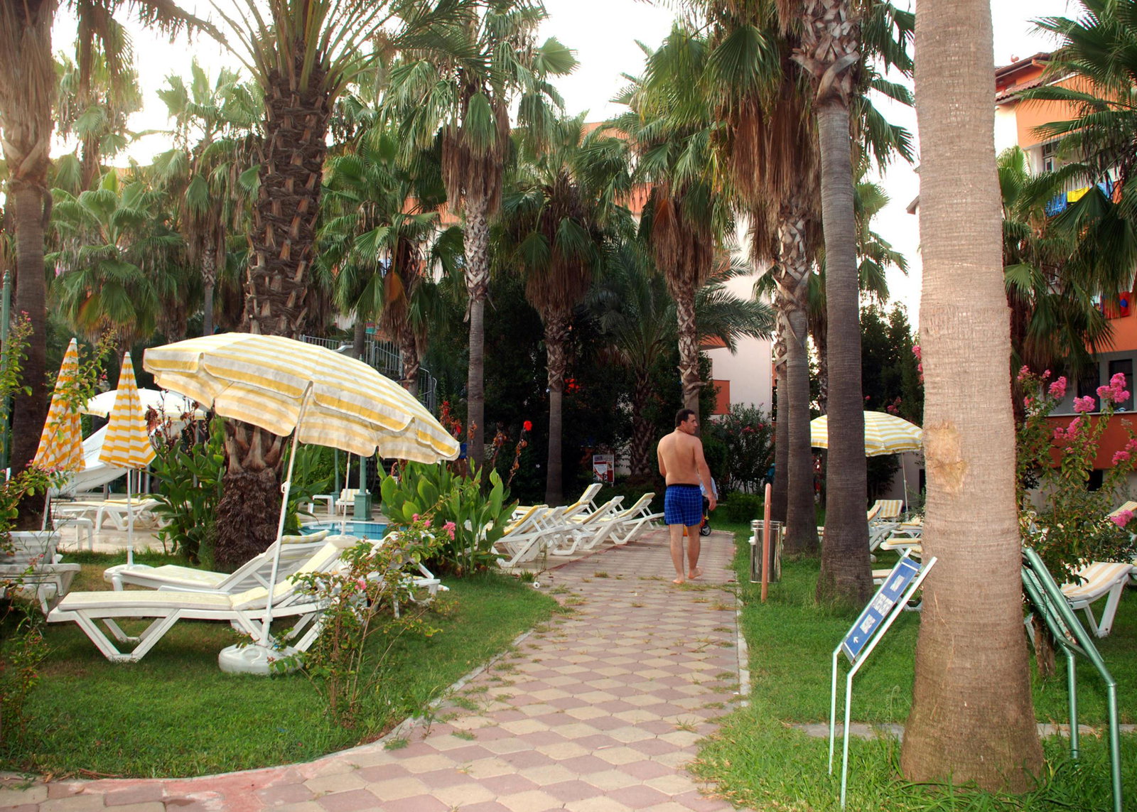 dal travel Orfeus Armin Hotel