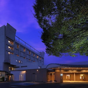 Hotel Hotel Symphony Annex cazare Sagae