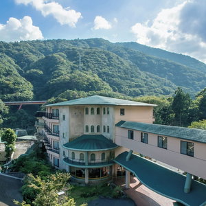 Hotel Hakonenomori Okada cazare Odawara