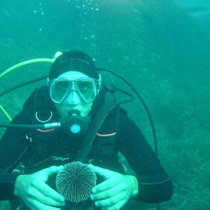 Sejur Villa Gli Asfodeli vacanta Tresnuraghes