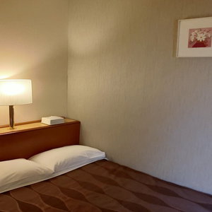 Hotel Center Hotel Narita 1 cazare Narita