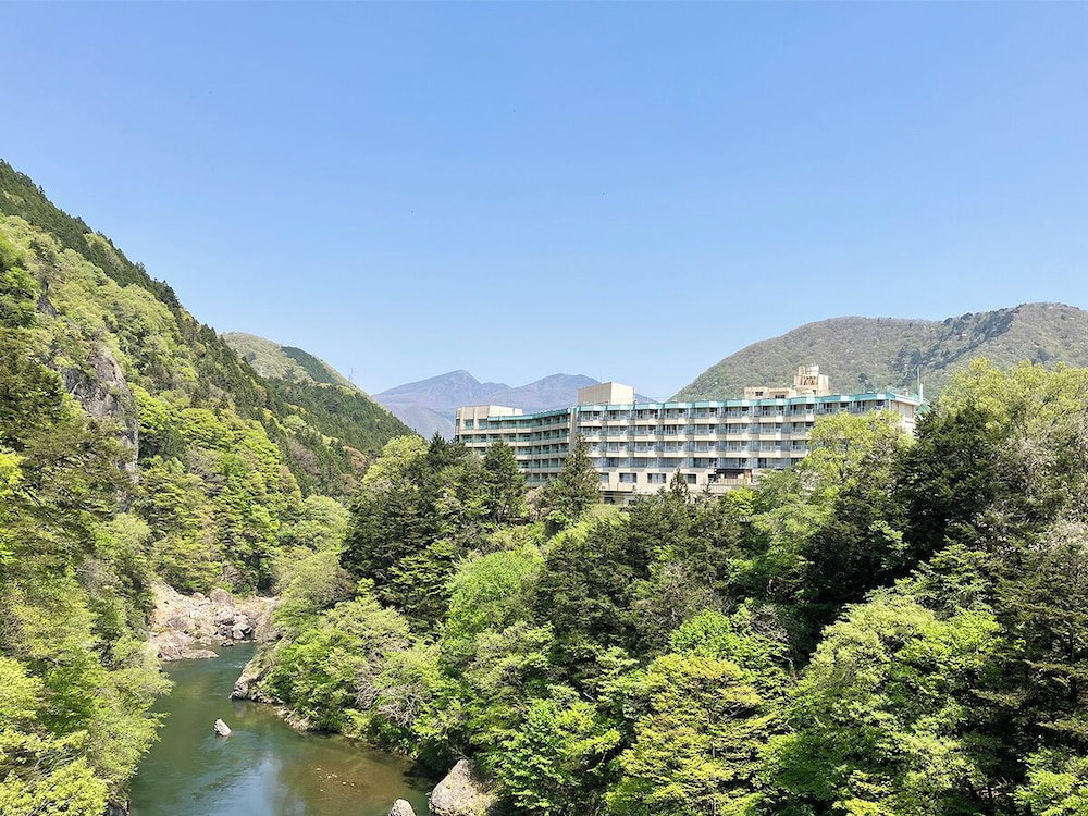 Hotel Kinugawa Royal Hotel