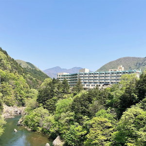 Hotel Kinugawa Royal Hotel cazare Nikko