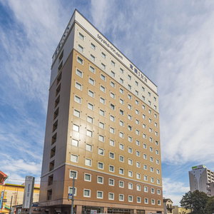 Hotel Toyoko Inn Ebina Station Higashi cazare Ebina