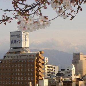 Hotel Toyoko Inn Kofu Station Minami 1 cazare Kofu
