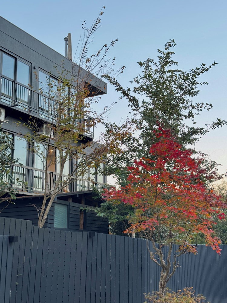 Hotel Kousano Mori