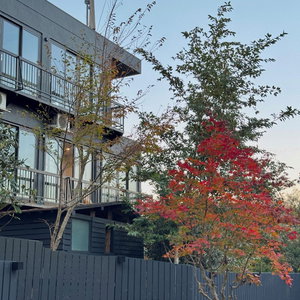 Hotel Kousano Mori cazare Hakone