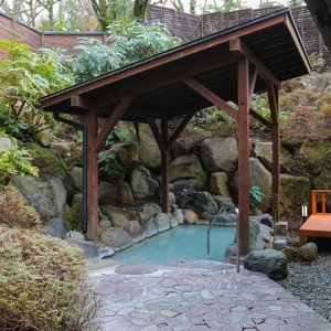 Hotel Ajisai Onsen Ryokan - Award Winning Private Open Air Onsen Hakone cazare Hakone