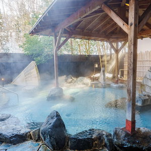 Hotel Kamenoi Hotel Nikko Yunishigawa All-Inclusive Resort cazare Hinoemata