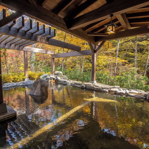 Hotel Shionoyu Onsen Rengetsu cazare Nasushiobara