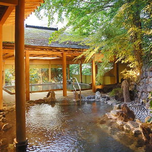 Hotel Livemax Resort Kawaji cazare Nikko