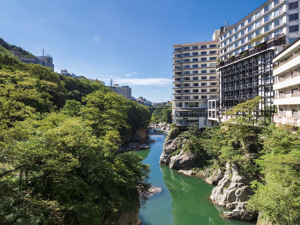Hotel Kinugawa Plaza Hotel