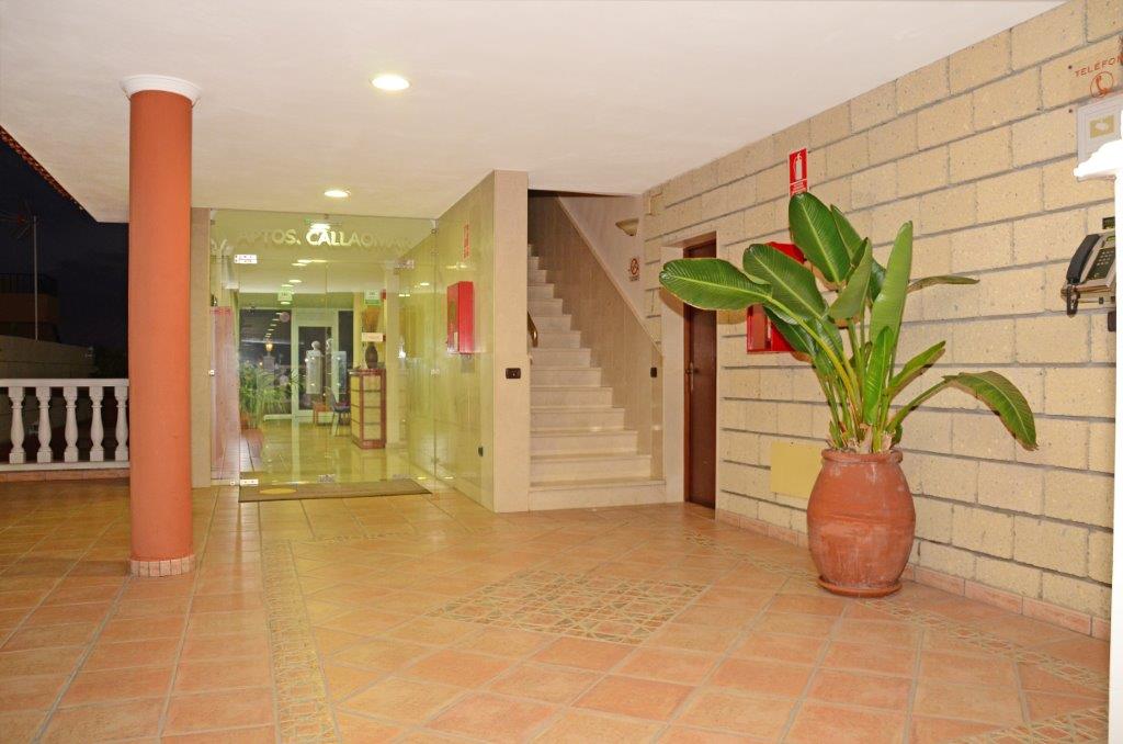 dal travel Apartamentos Callaomar