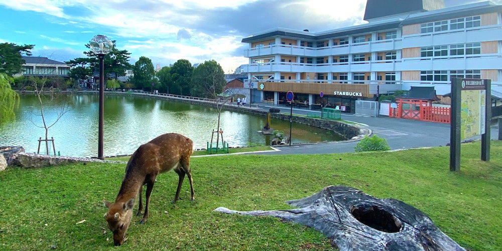 Hotel Hotel Tenpyo Naramachi
