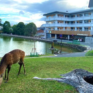 Hotel Hotel Tenpyo Naramachi cazare Nara-shi