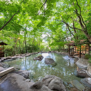 Hotel Nihon No Ashitaba cazare Yufu