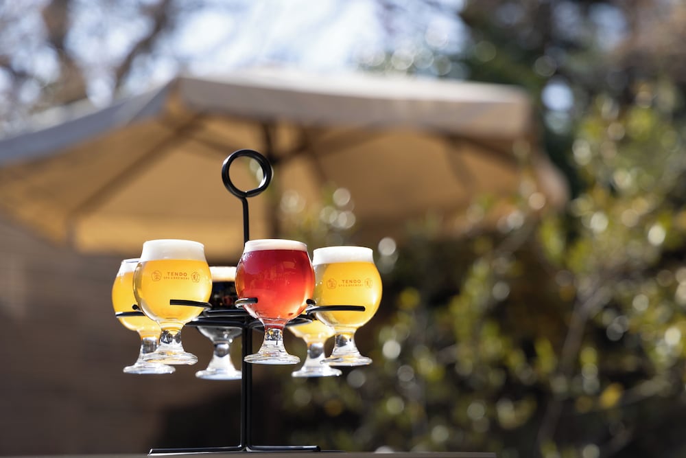 Hotel Ichiraku Tendo Spa & Brewery