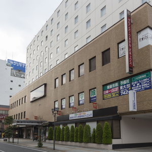 Hotel Grandpark Hotel Panex Iwaki cazare Taira