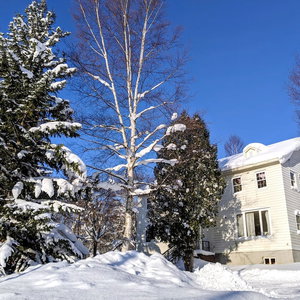 Hotel Chalet Banff cazare Niseko Town