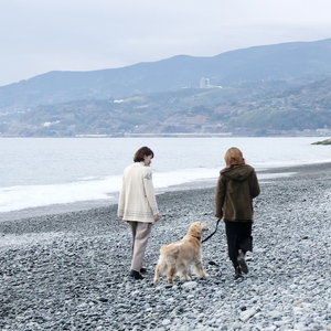 Hotel Inu To Umibe cazare Odawara