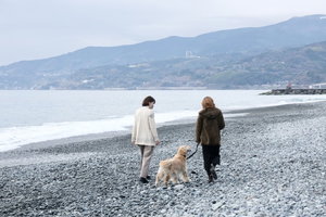 Hotel Inu To Umibe cazare Odawara