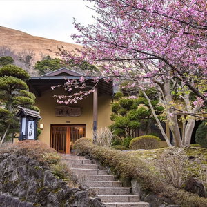 Hotel Hanare Yado Yosizumi cazare Ito