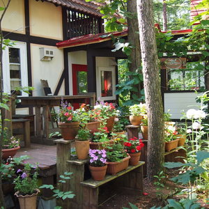 Hotel The Squirrel's Guesthouse Canterbury cazare Sarabetsu