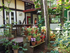 Hotel The Squirrel's Guesthouse Canterbury cazare Sarabetsu