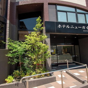 Hotel Hotel New Gaea Yanagawa cazare Yanagawamachi-saiwaicho