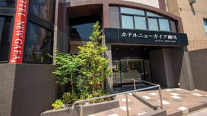 Hotel Hotel New Gaea Yanagawa cazare Yanagawamachi-saiwaicho