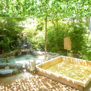 Hotel Wellness No Mori Ito cazare Ito