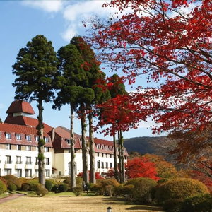 Hotel Hotel De Yama, Hakone Lake Side cazare Hakone