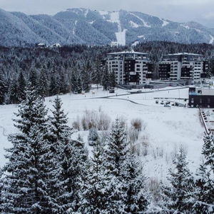 Hotel Elexus Apartments cazare Poiana Brasov
